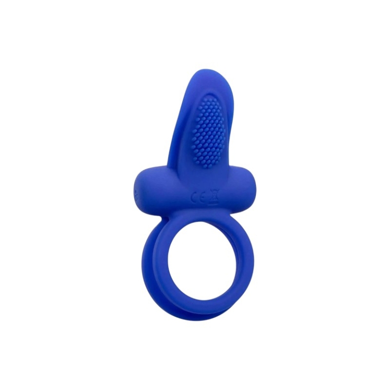 Niebieska ośmiorniczka z delfinkiem