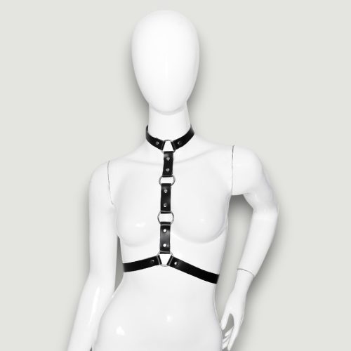Harness 3021