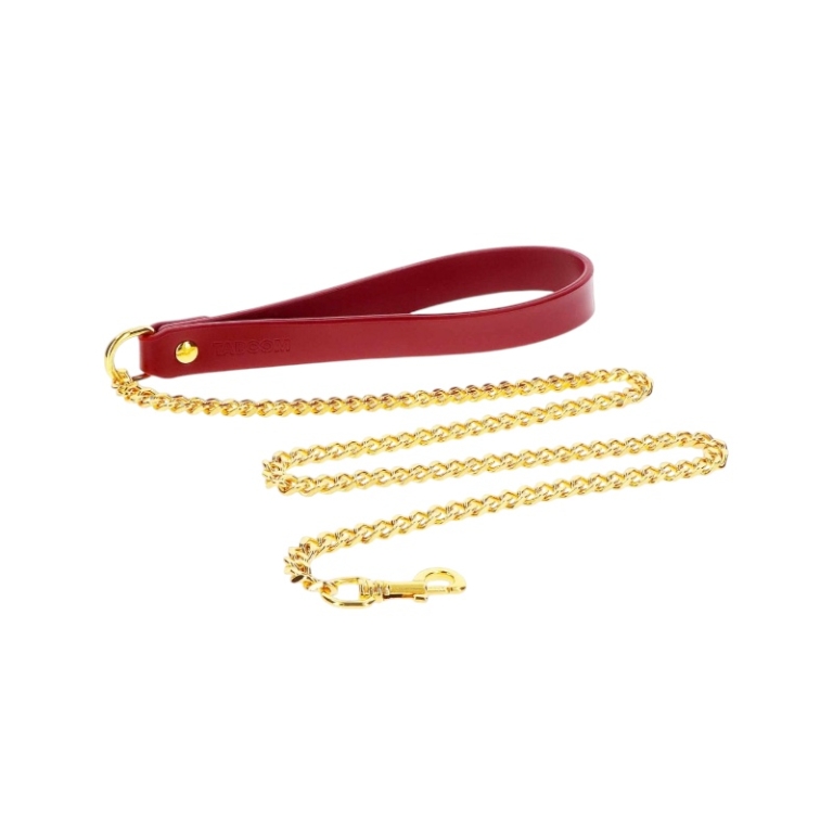 Czerwona smycz z łańcuchem